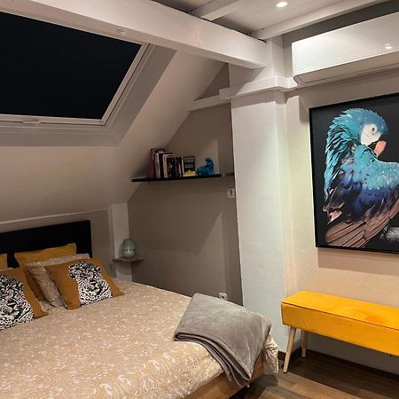 Charmant Duplex Privatise, Climatise, 2 Chambres ستراسبورغ المظهر الخارجي الصورة