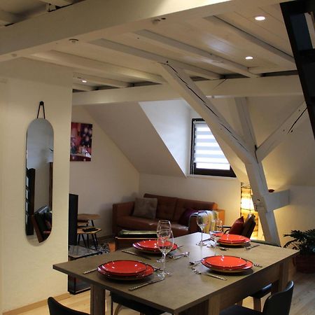 Charmant Duplex Privatise, Climatise, 2 Chambres ستراسبورغ المظهر الخارجي الصورة