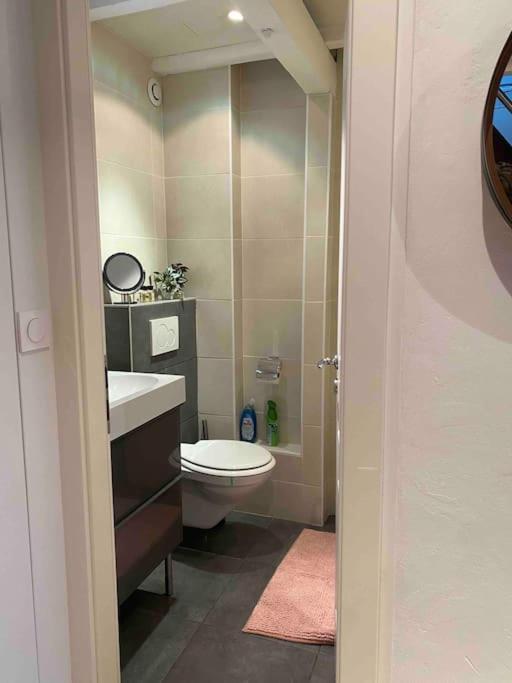 Charmant Duplex Privatise, Climatise, 2 Chambres ستراسبورغ المظهر الخارجي الصورة