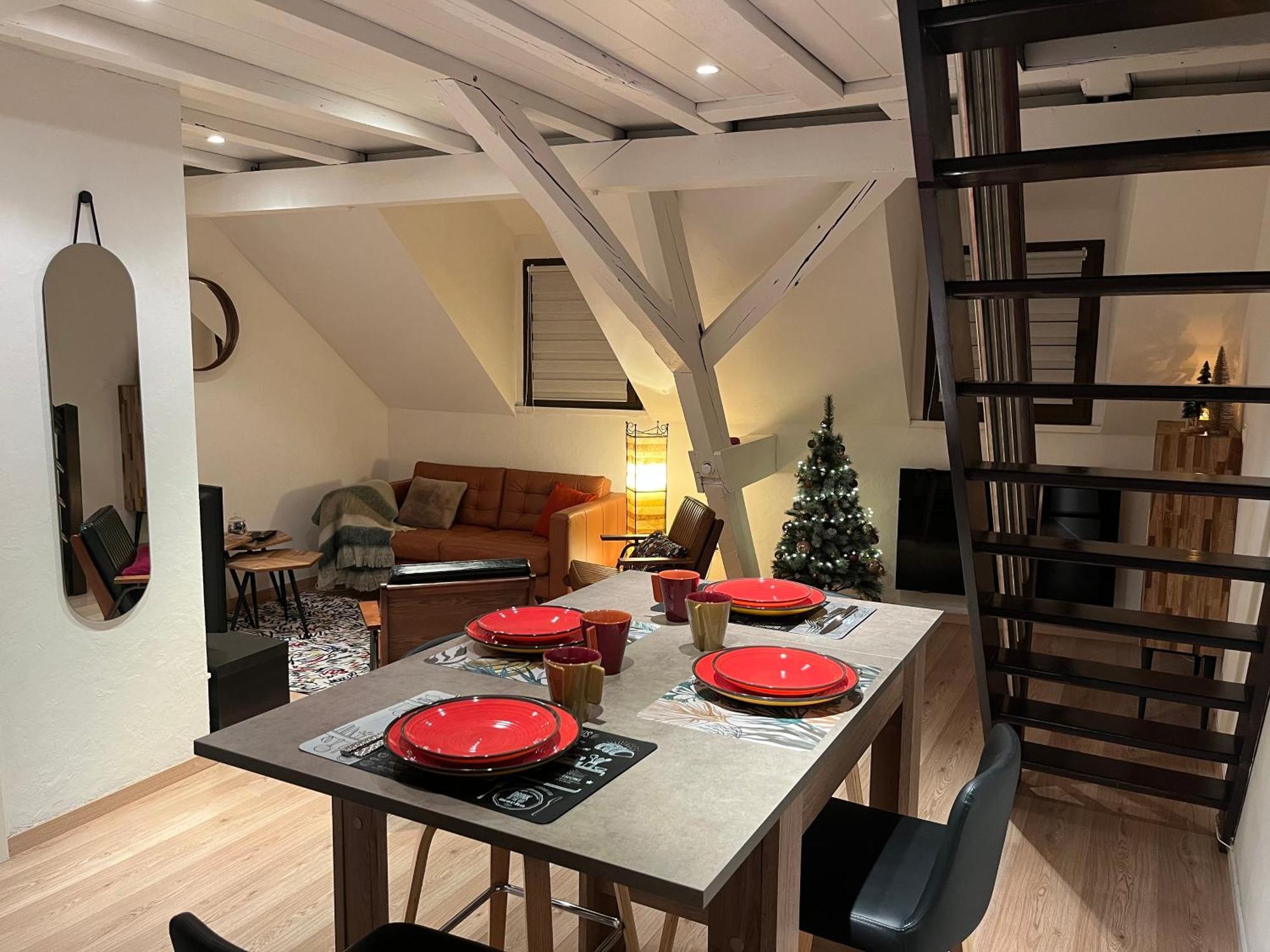Charmant Duplex Privatise, Climatise, 2 Chambres ستراسبورغ المظهر الخارجي الصورة