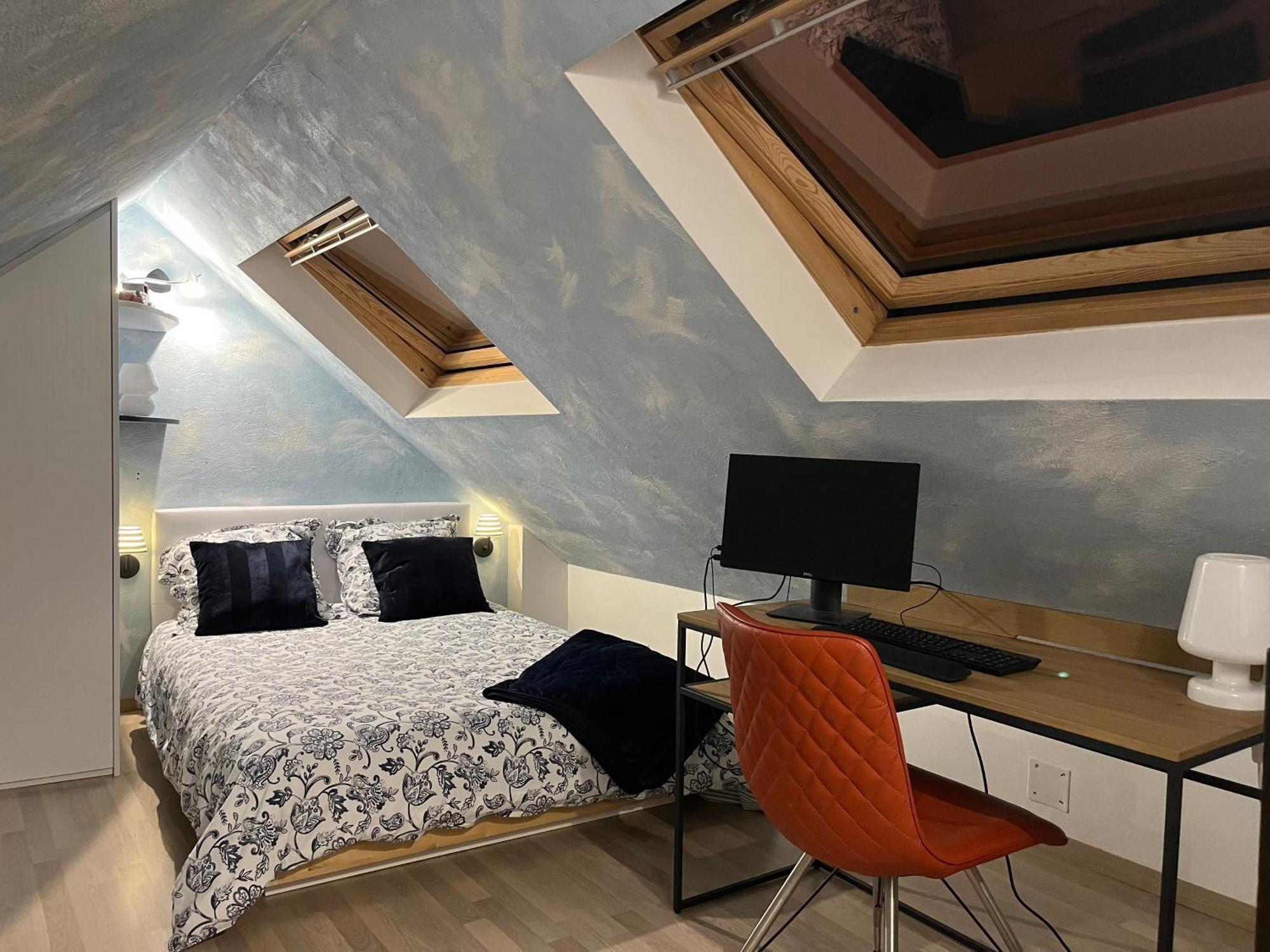 Charmant Duplex Privatise, Climatise, 2 Chambres ستراسبورغ المظهر الخارجي الصورة